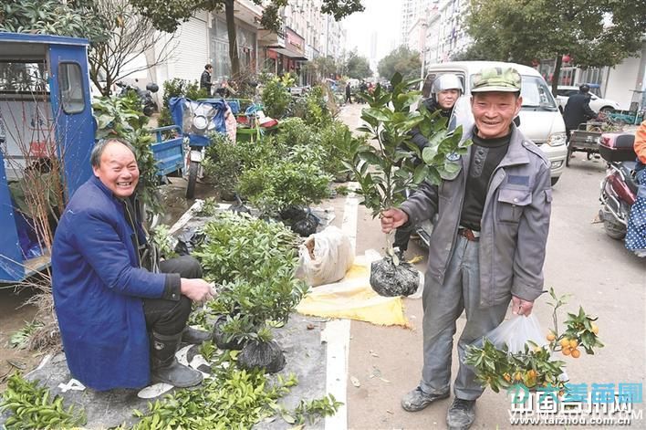 农村集市苗木买卖